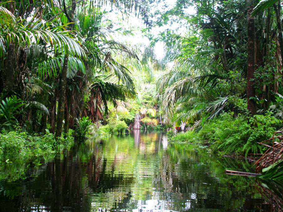 ESENCIA DE COSTA RICA